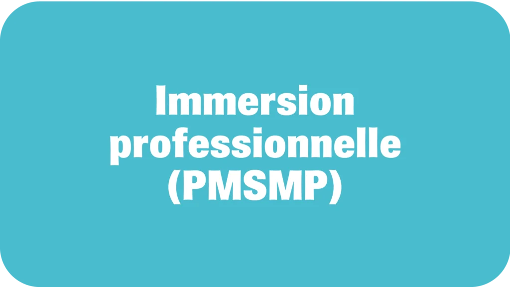 PMSMP