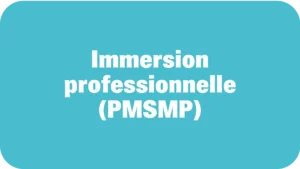 PMSMP