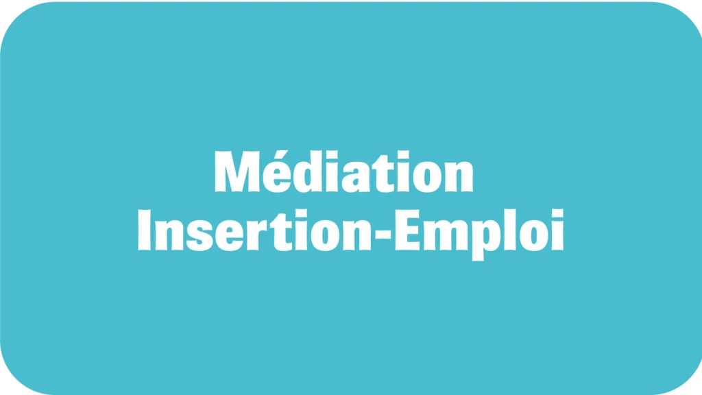 médiation-insertion-emploi